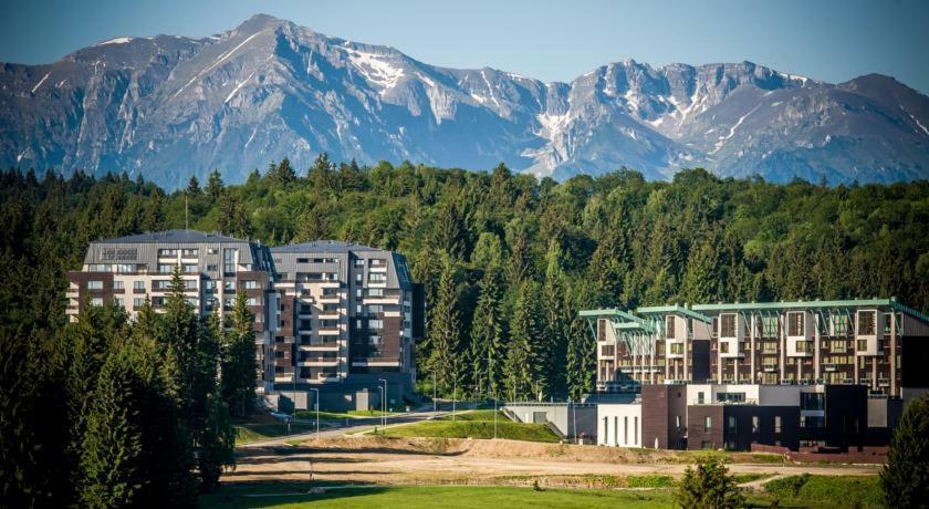 Luxury Mountain Apartment 波亚纳布拉索夫 外观 照片