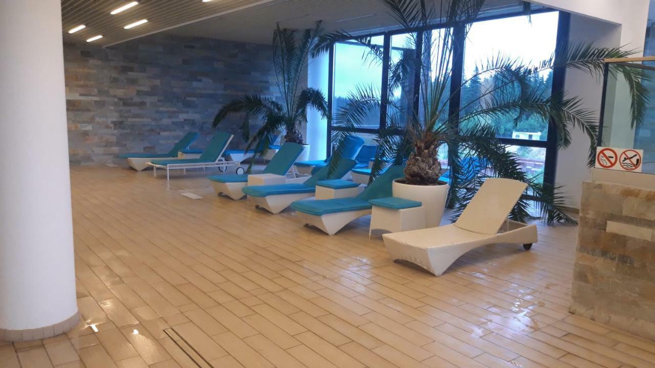 Luxury Mountain Apartment 波亚纳布拉索夫 外观 照片